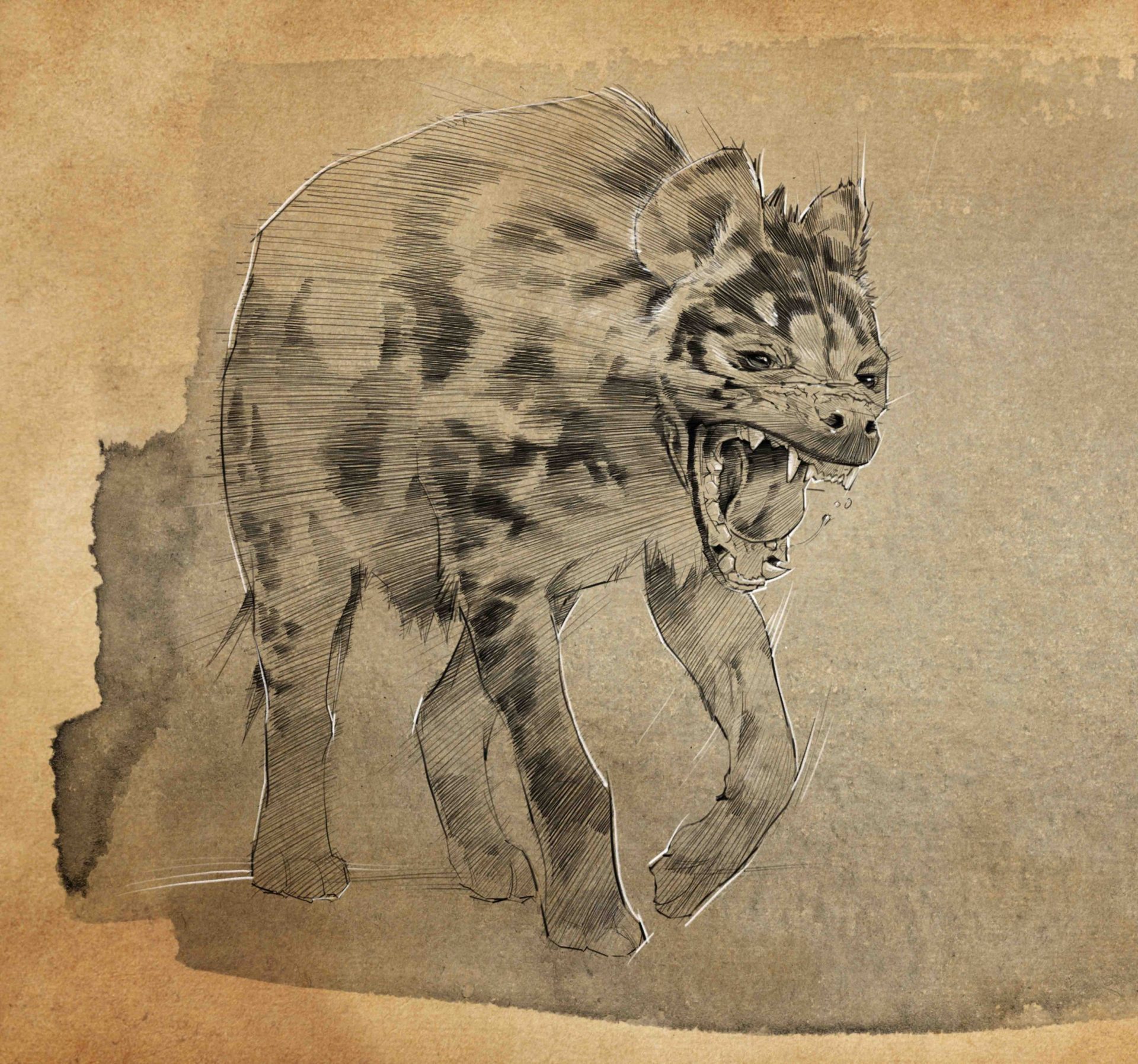Taqsim Hyena