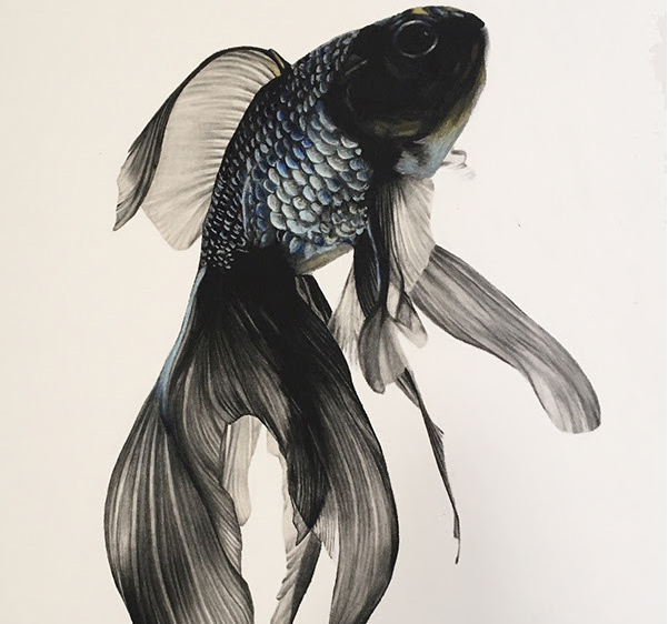 Little Black Fish