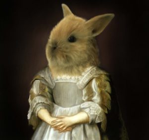 Anomalia: 5 Unusual Animals Stories 1