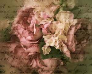 an evening with the author1