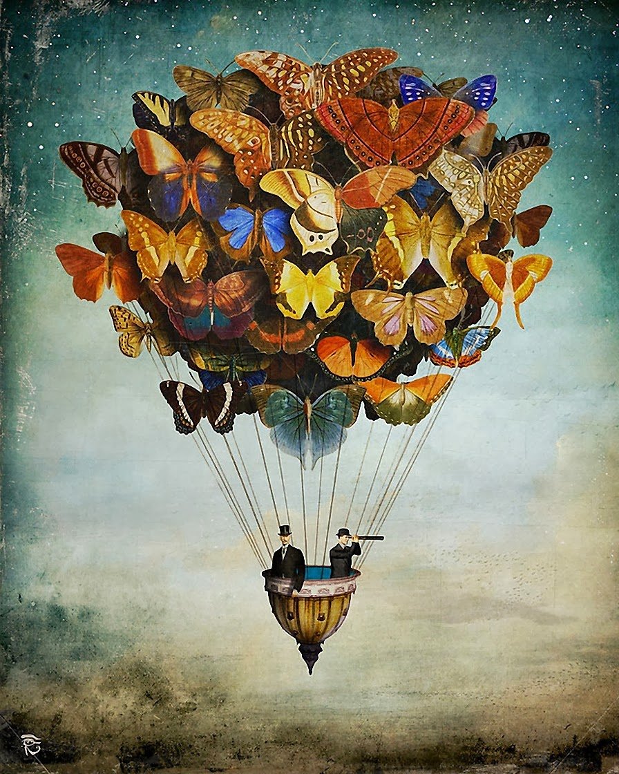 fly away1