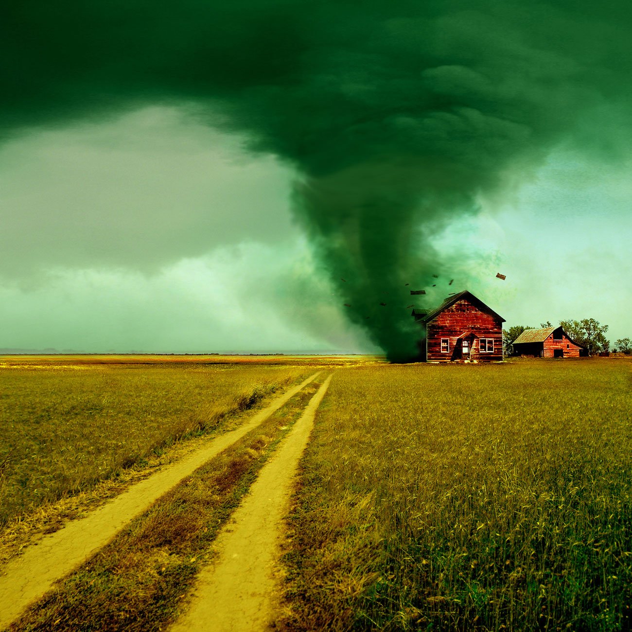 In Praise of the Hurricane