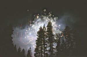 kimson doan sFBNfLEvf0M unsplash