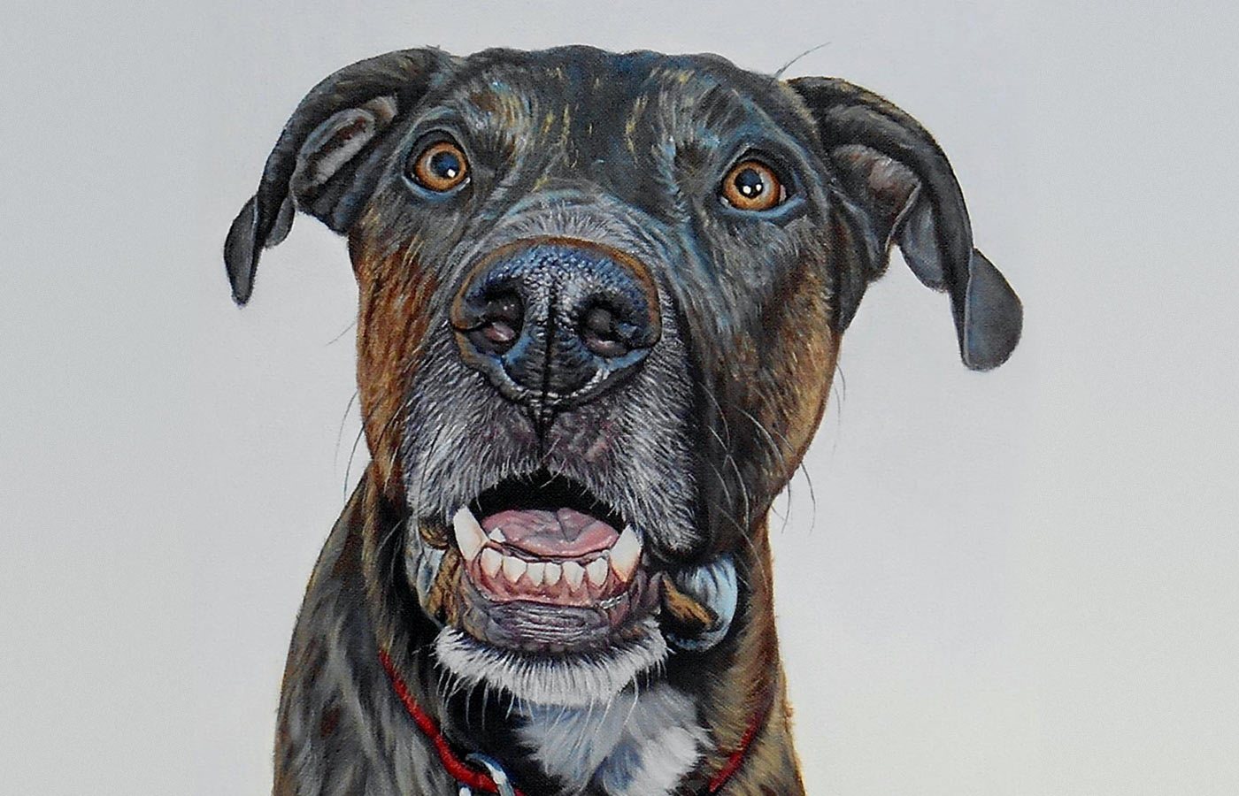 The Dog