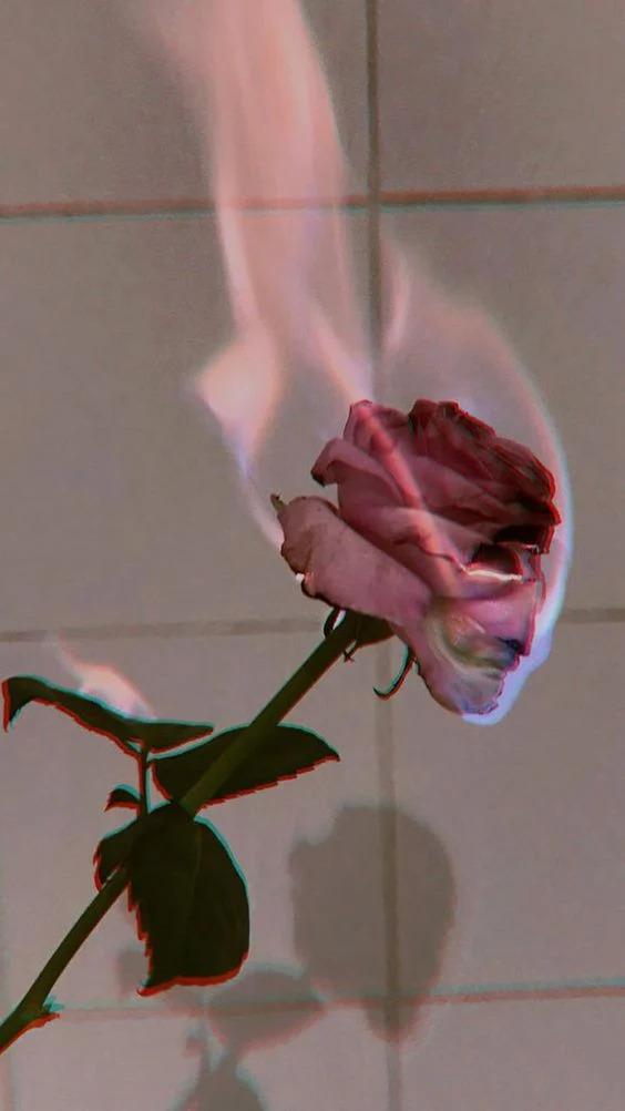 The Secret