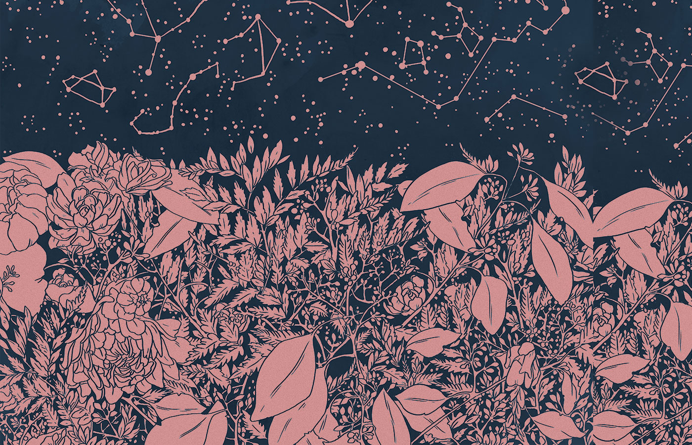 stry224 bg