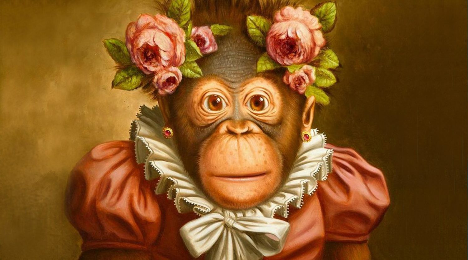 stry78 monkeys bg