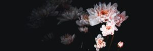 Flowers 1500x500 1 1500x500 1