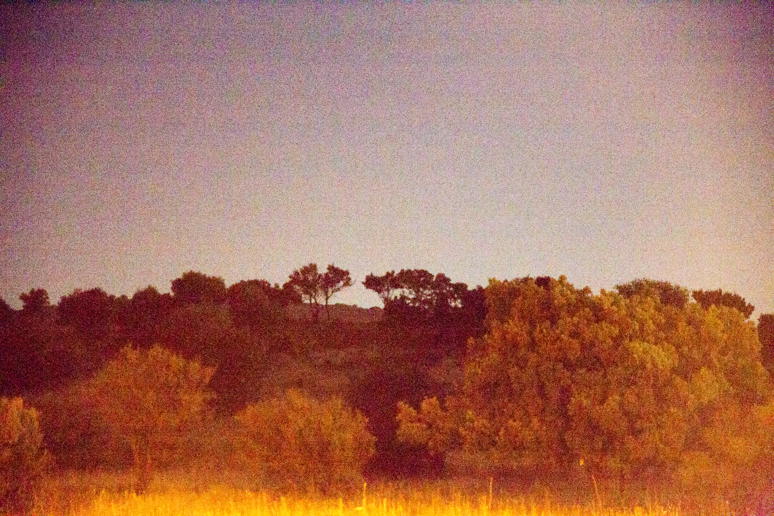 Sfar 01