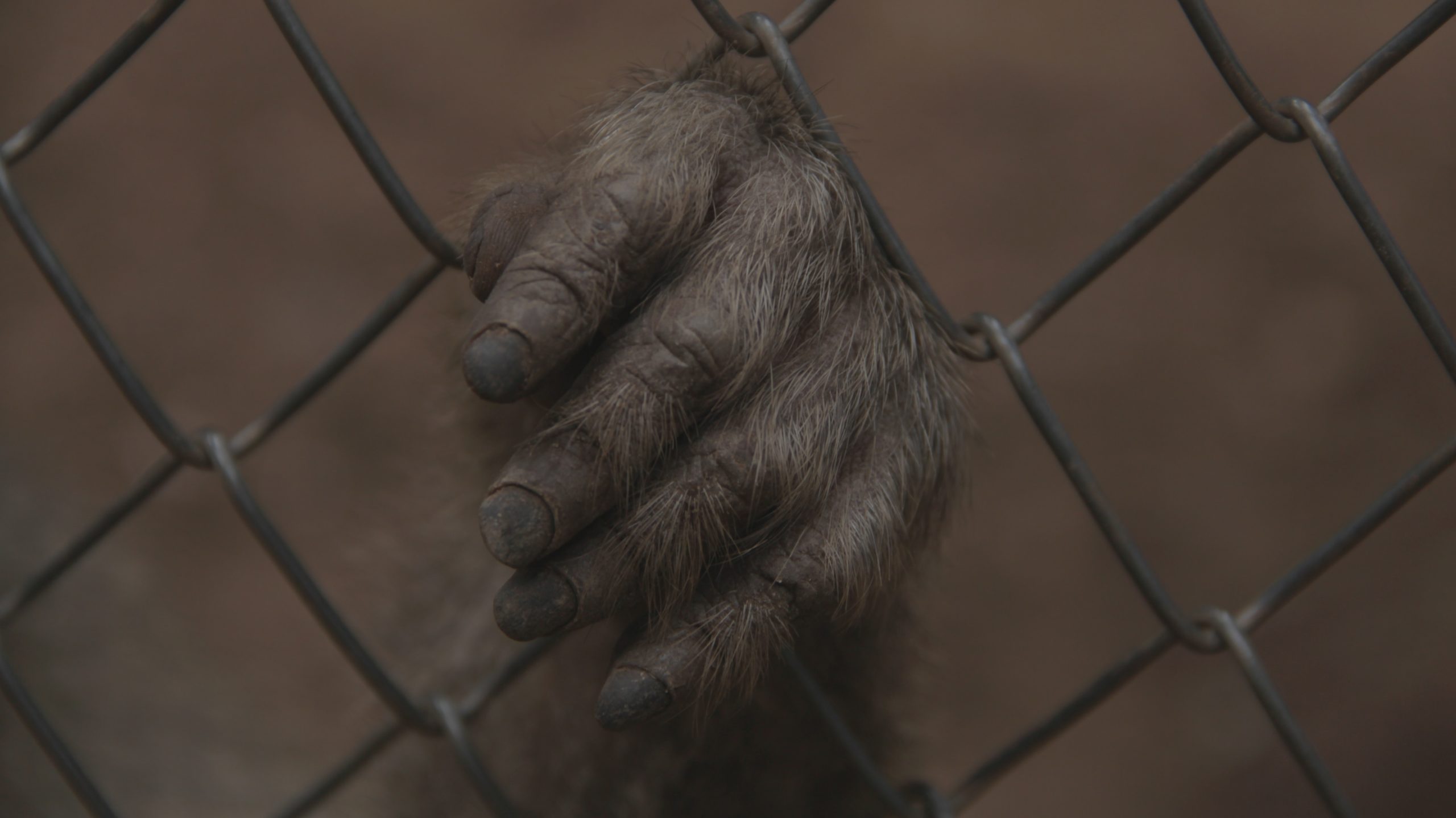 anthony rosa 7wfQ5k3 Olg unsplash scaled