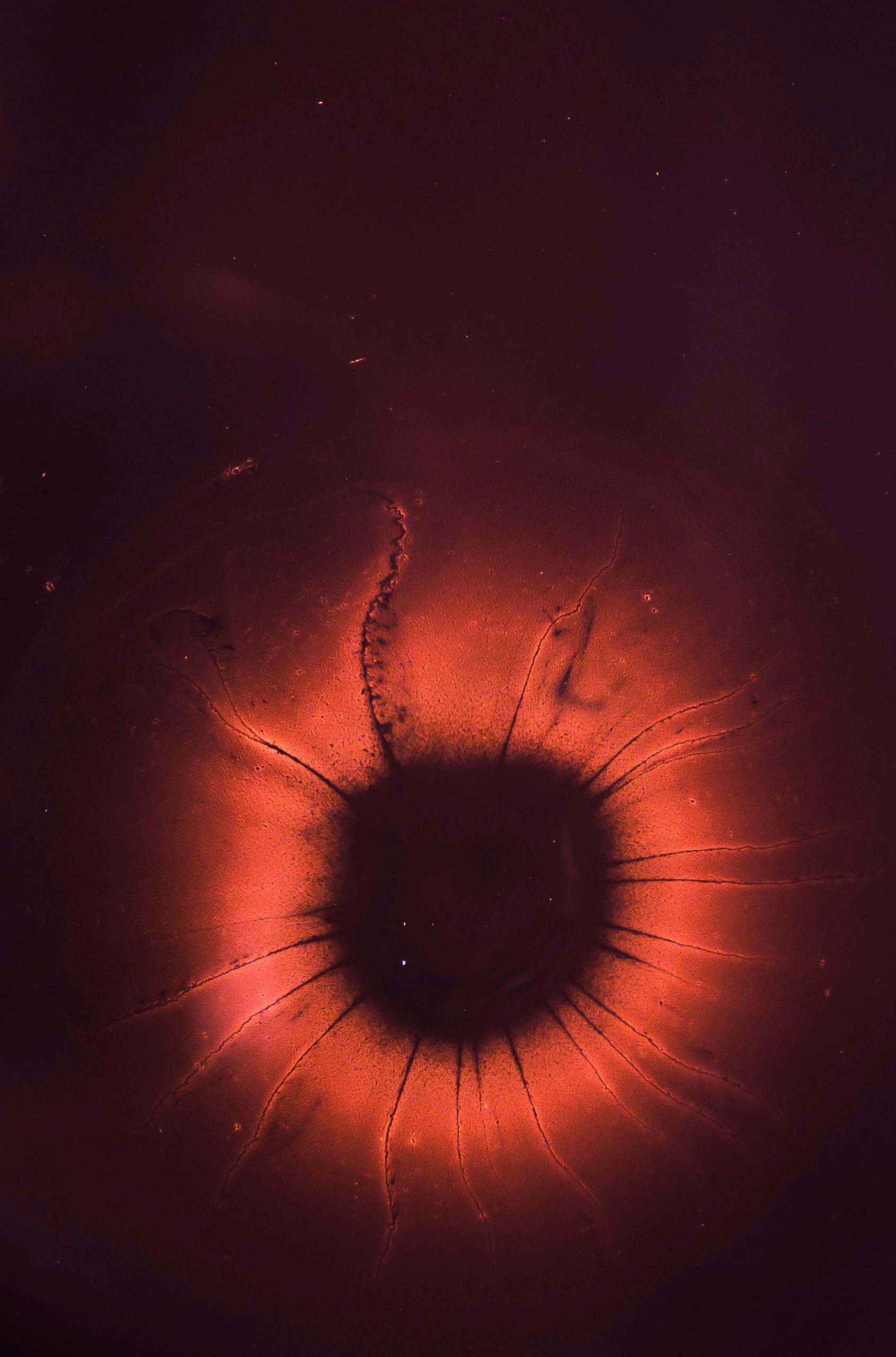 joel filipe rG1LNUFgJhI unsplash scaled