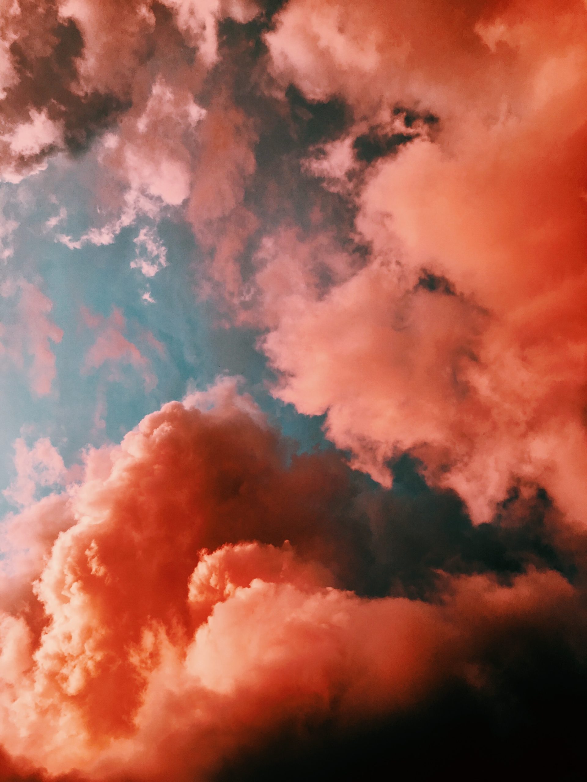 laura vinck Hyu76loQLdk unsplash scaled