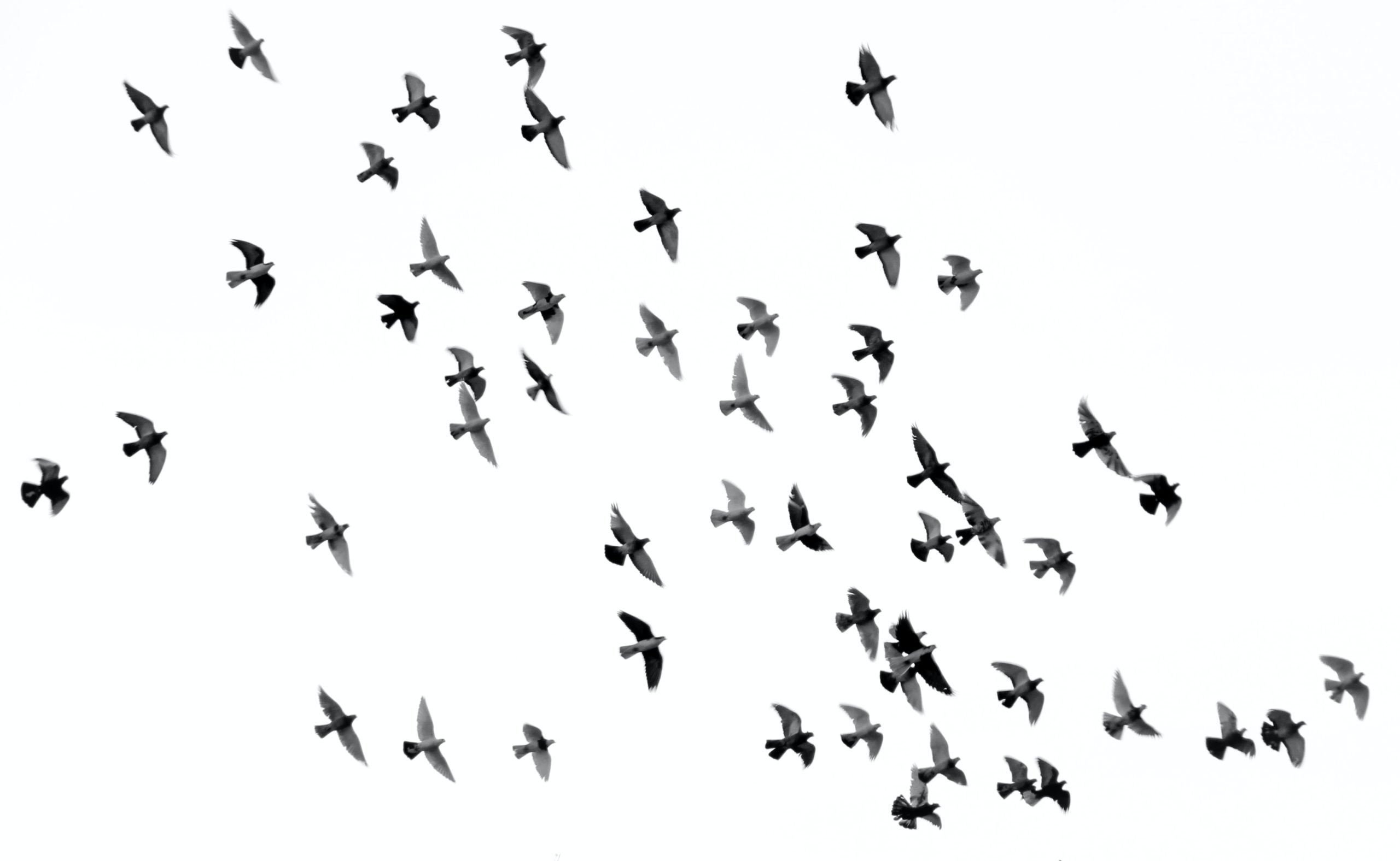 mehdi sepehri cX0Yxw38cx8 unsplash scaled