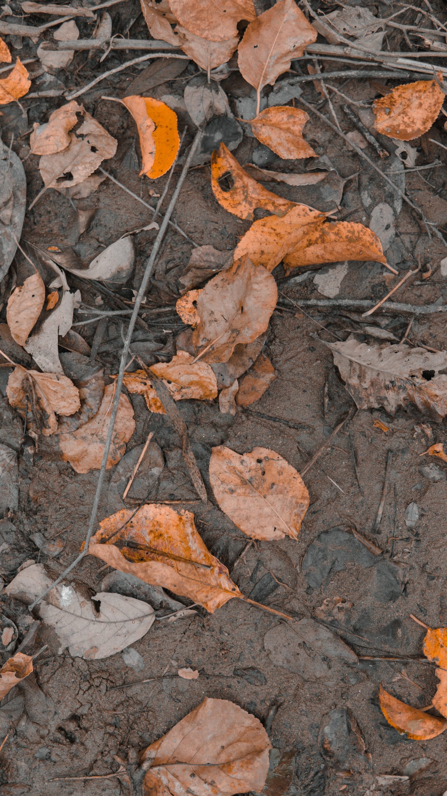 fawazlul rizqi nEP3Ke2f mM unsplash scaled