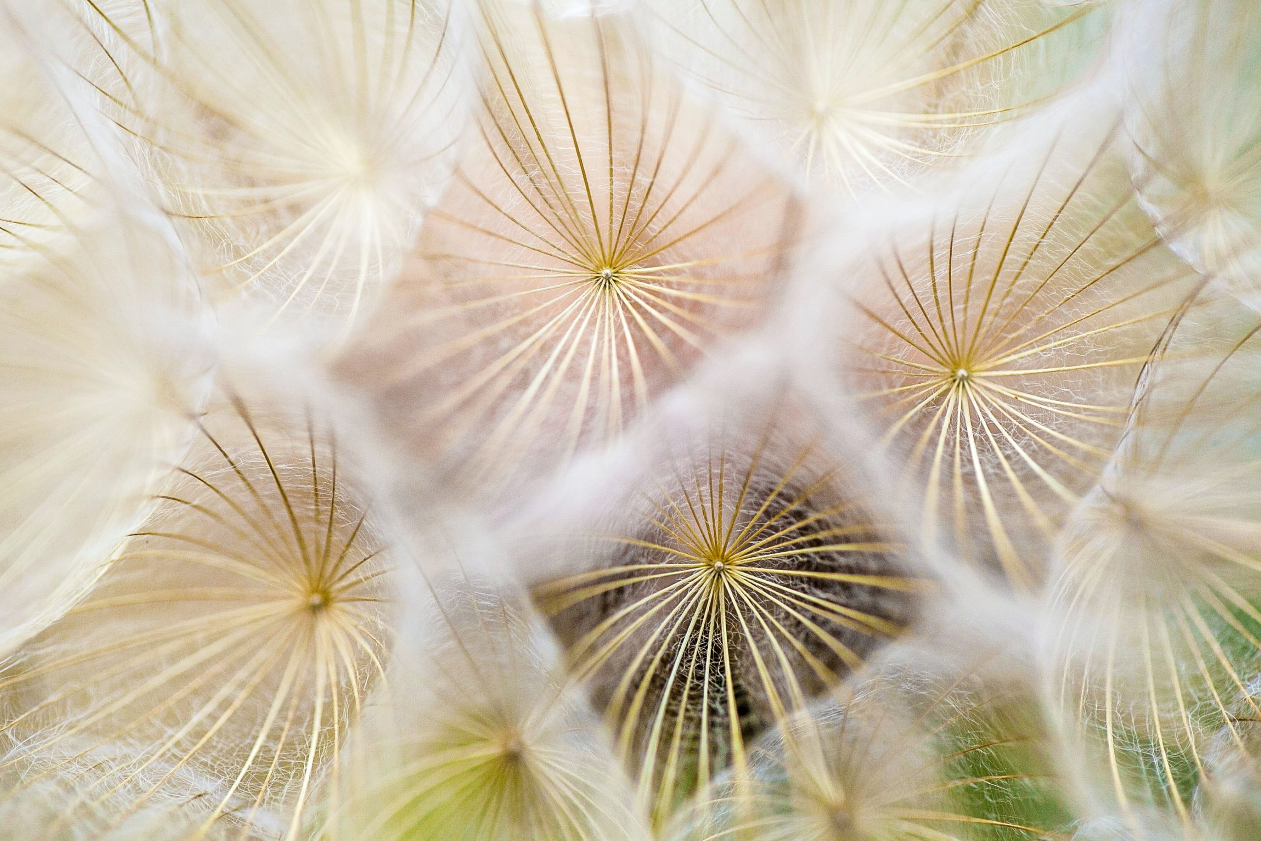 paul talbot pQDBGxtiDEo unsplash scaled